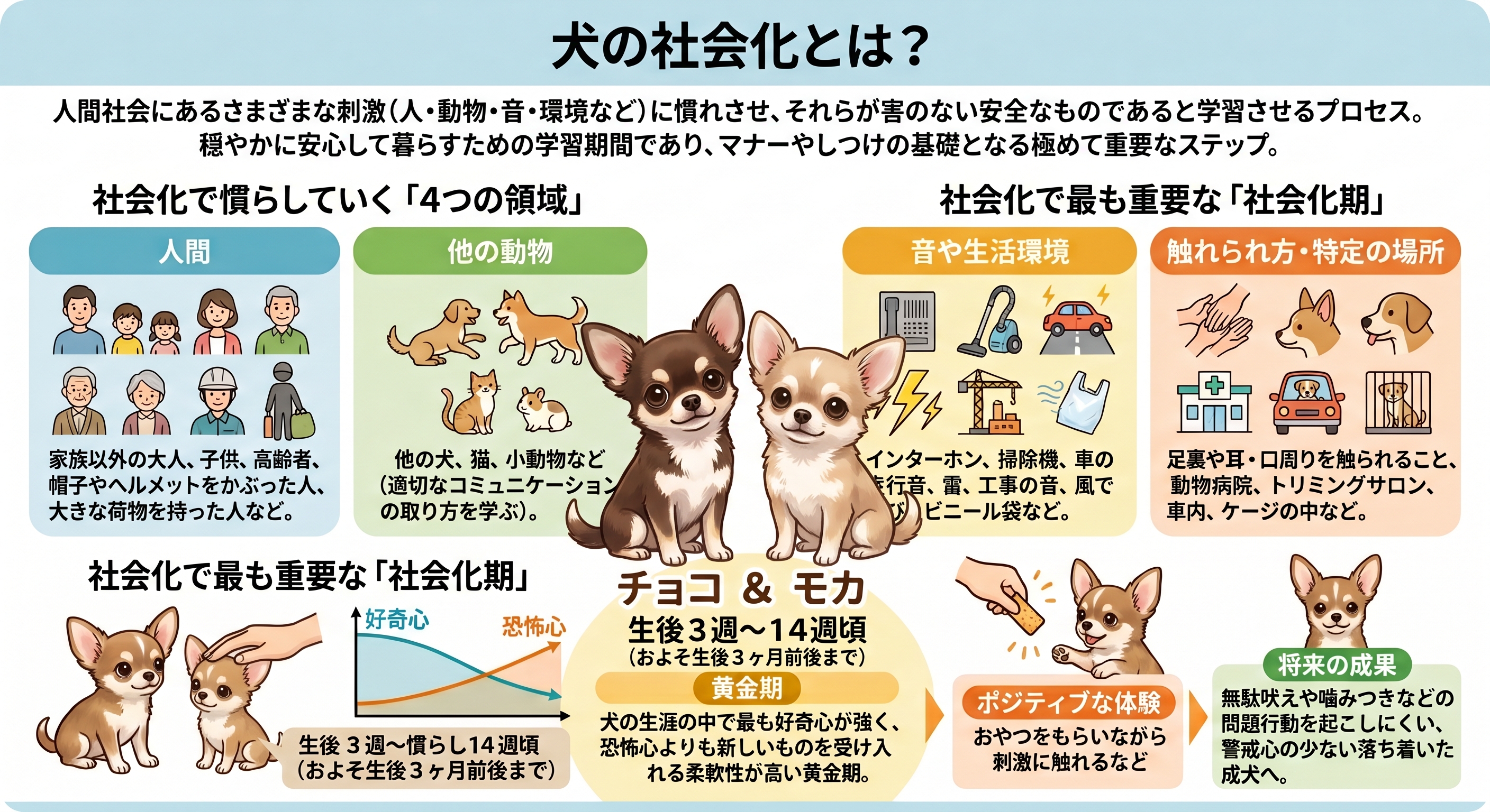 犬の社会化とは？図解ガイド